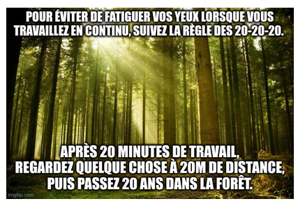 Photo d'une forêt
et le texte :
Pour éviter de fatiguer vos yeux lorsque vous travaillez en continu, suivez la règle des 20-20-20.
Après 20 minutes de travail,
regardez quelque chose à 20 m de distance,
puis passez 20 ans dans la forêt.